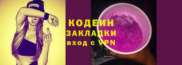 прущие грибы Балахна