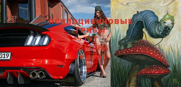 прущие грибы Балахна