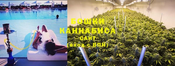прущие грибы Балахна