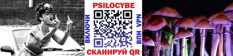 Галлюциногенные грибы прущие грибы  Баксан 